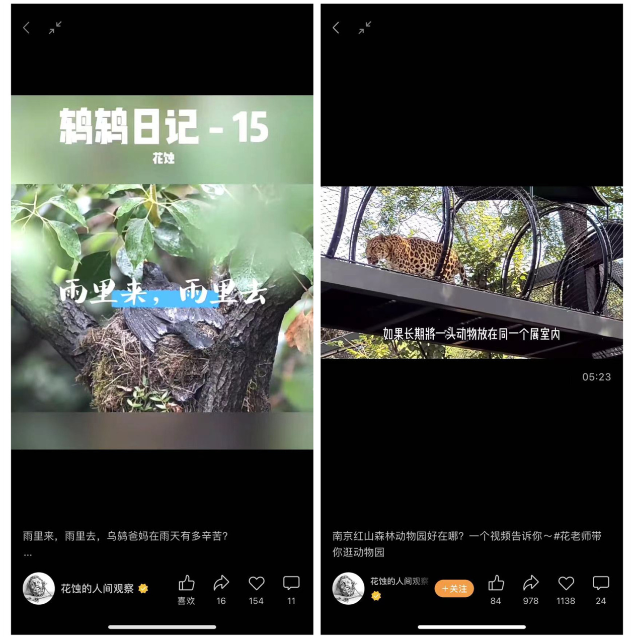 分享科普“微信皇后超级三加一辅助”确实真的有挂-第2张图片