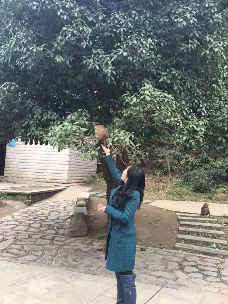 我来告诉你“皮皮湖南麻将可以开挂吗”了解开挂过程-第2张图片
