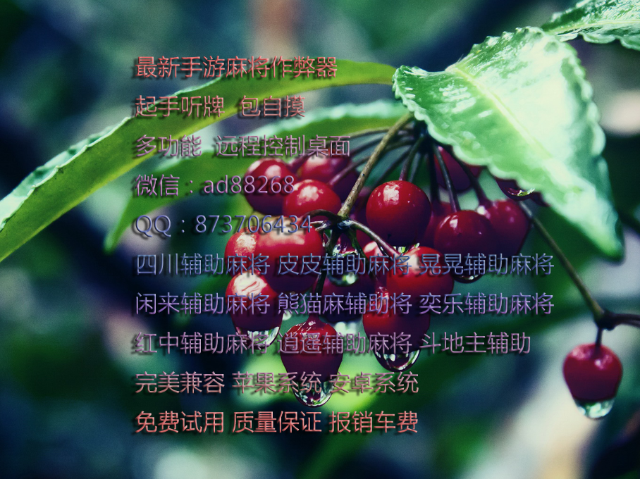 玩家必读“皮皮麻将有挂吗”实际有挂-第1张图片