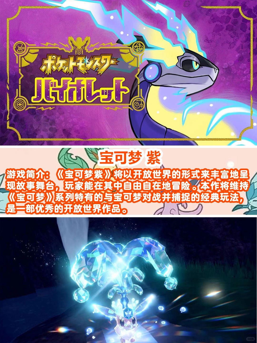 玩家攻略宝典“中至窝龙辅助器怎么用安全	”了解开挂过程-第1张图片