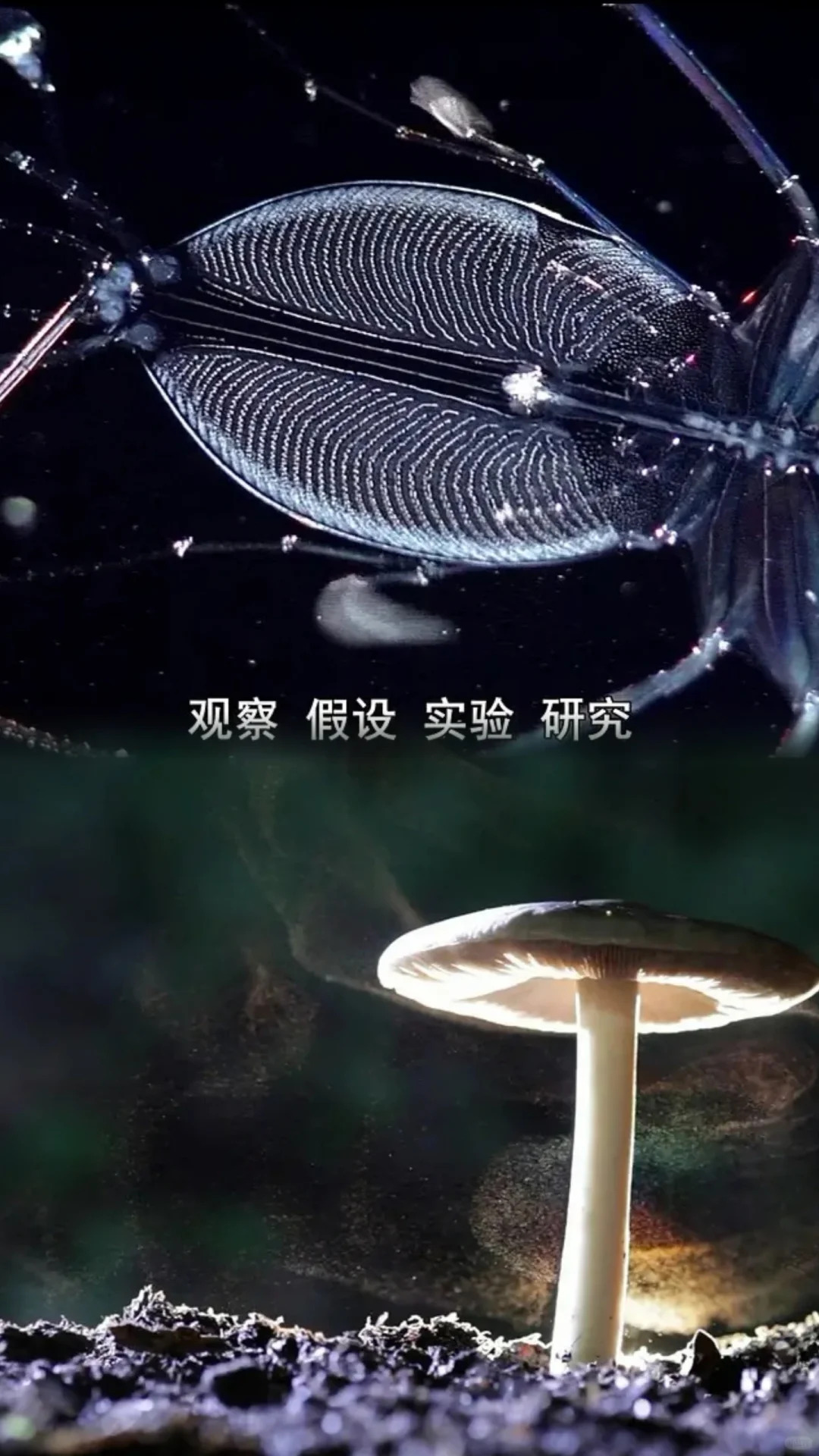 给大家科普一下“德扑圈辅助器	”确实果然有挂-第1张图片