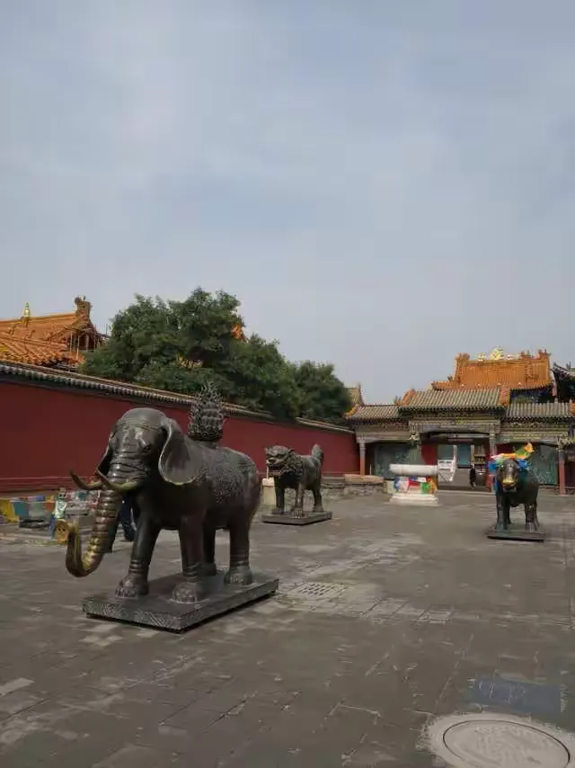 我来教大家“老友内蒙古麻将有挂吗”其实真的有挂-第1张图片