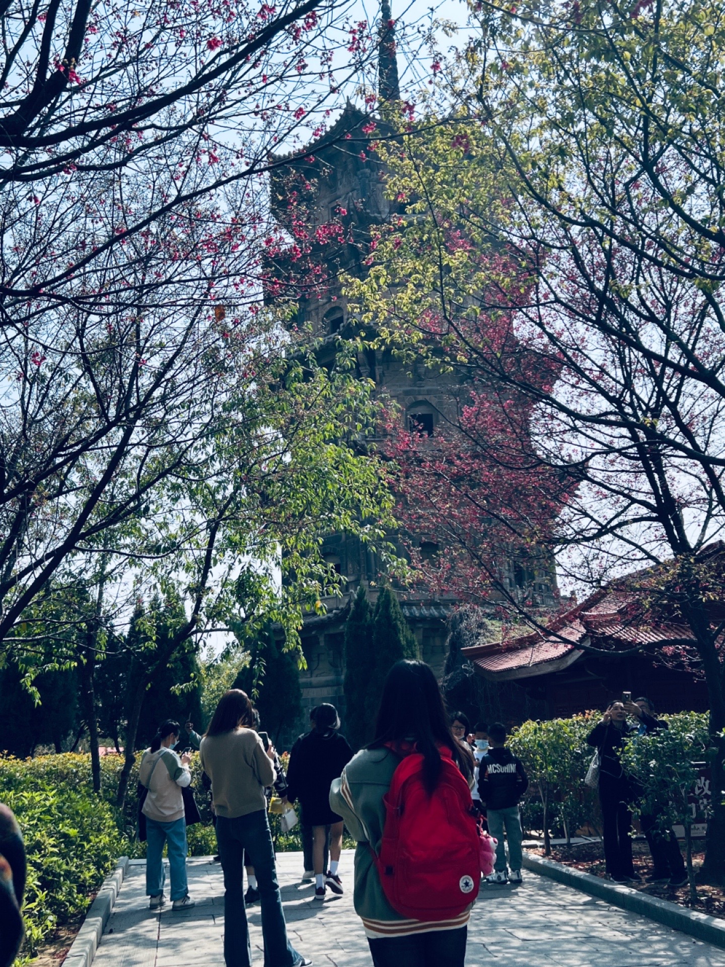 分享一款“泉州开心麻将系统规律”的确是有挂-第1张图片