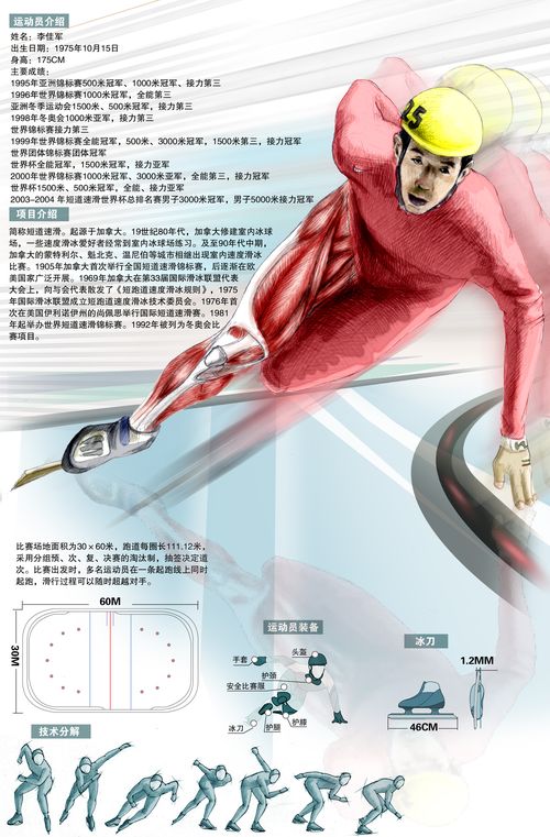 冬奥会简介〃冬奥会简介英语-第2张图片
