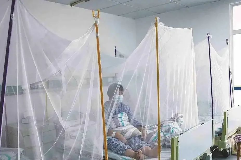 上海疫情最新消息情况-上海疫情最新最新情况-第2张图片