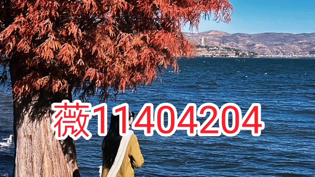 万能开挂辅助“雀神广东麻将开挂神器通用版”可以开挂作弊-第2张图片