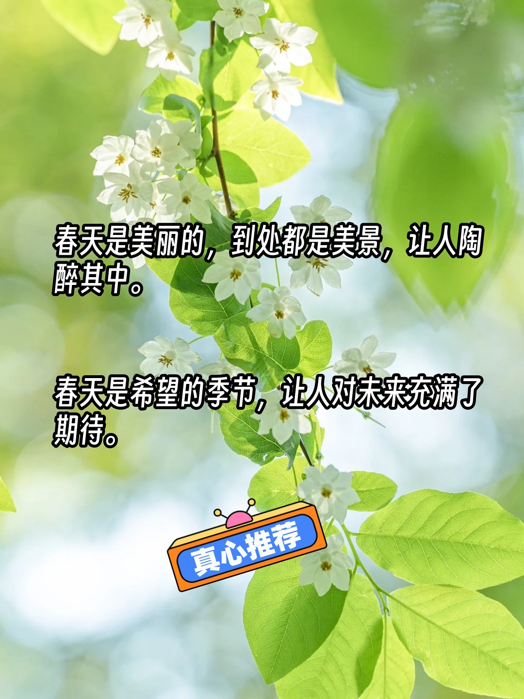 我来告诉你“阳光岛牌乐汇辅助器	”详细分享开挂-第3张图片