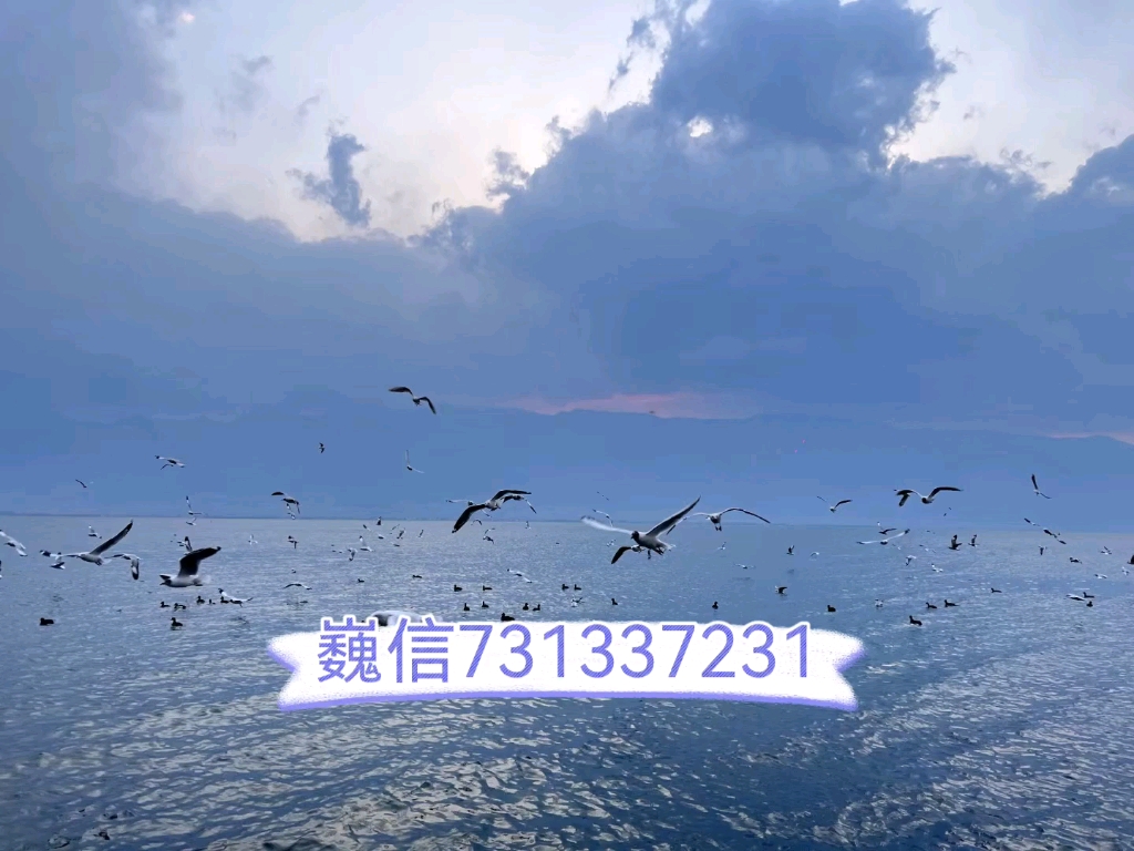 玩家必读“德扑之星有透视挂吗”分享装挂详细步-第2张图片