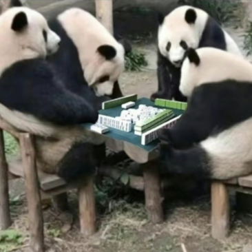 实测分享“熊猫麻将有挂吗？	”分享真的有挂给你-第2张图片