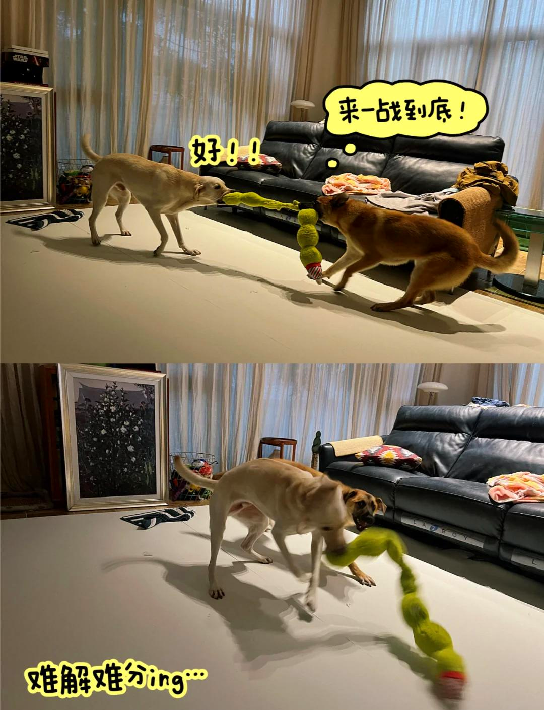 终于找到“胡乐邯郸麻将有规律吗”附开挂脚本详细步骤-第1张图片