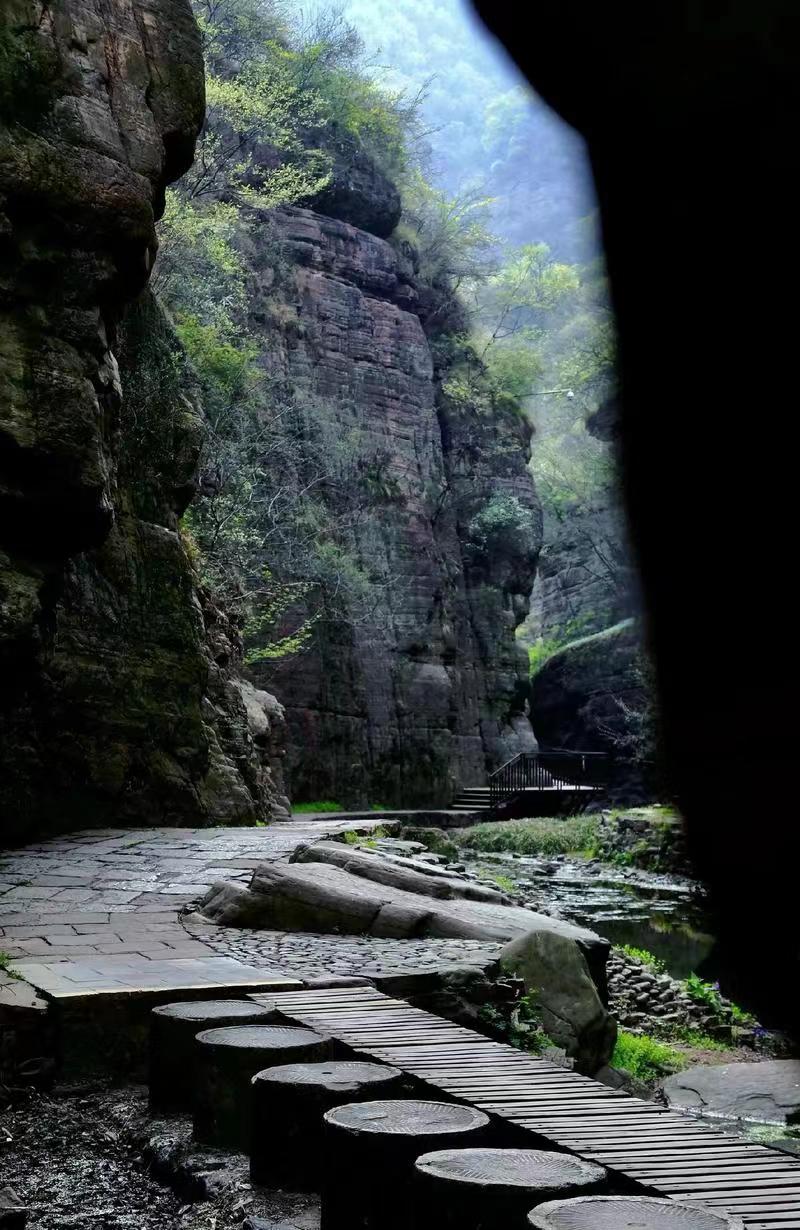 推荐必备“河南朋友局斗地主有挂吗”详细开挂玩法-第2张图片