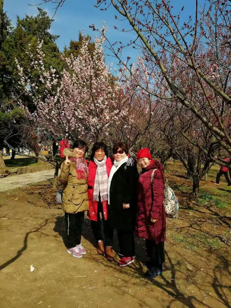分析必看“哈局十三张开挂神器玩法介绍”详细分享装挂步骤-第1张图片