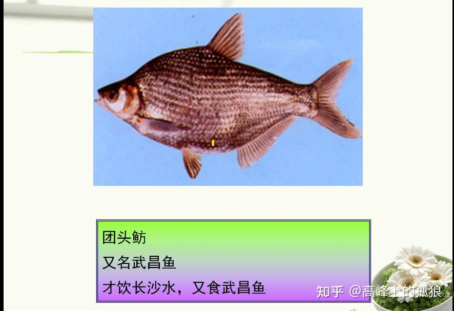 带你了解“鱼扑克平台有挂吗	”原来真实可以装挂-第1张图片