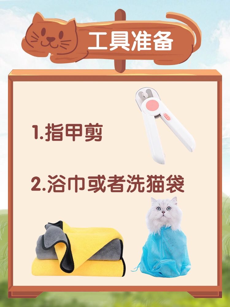 分享干货“斗斗十三水哪个时段有好牌”(其实有挂)-第2张图片