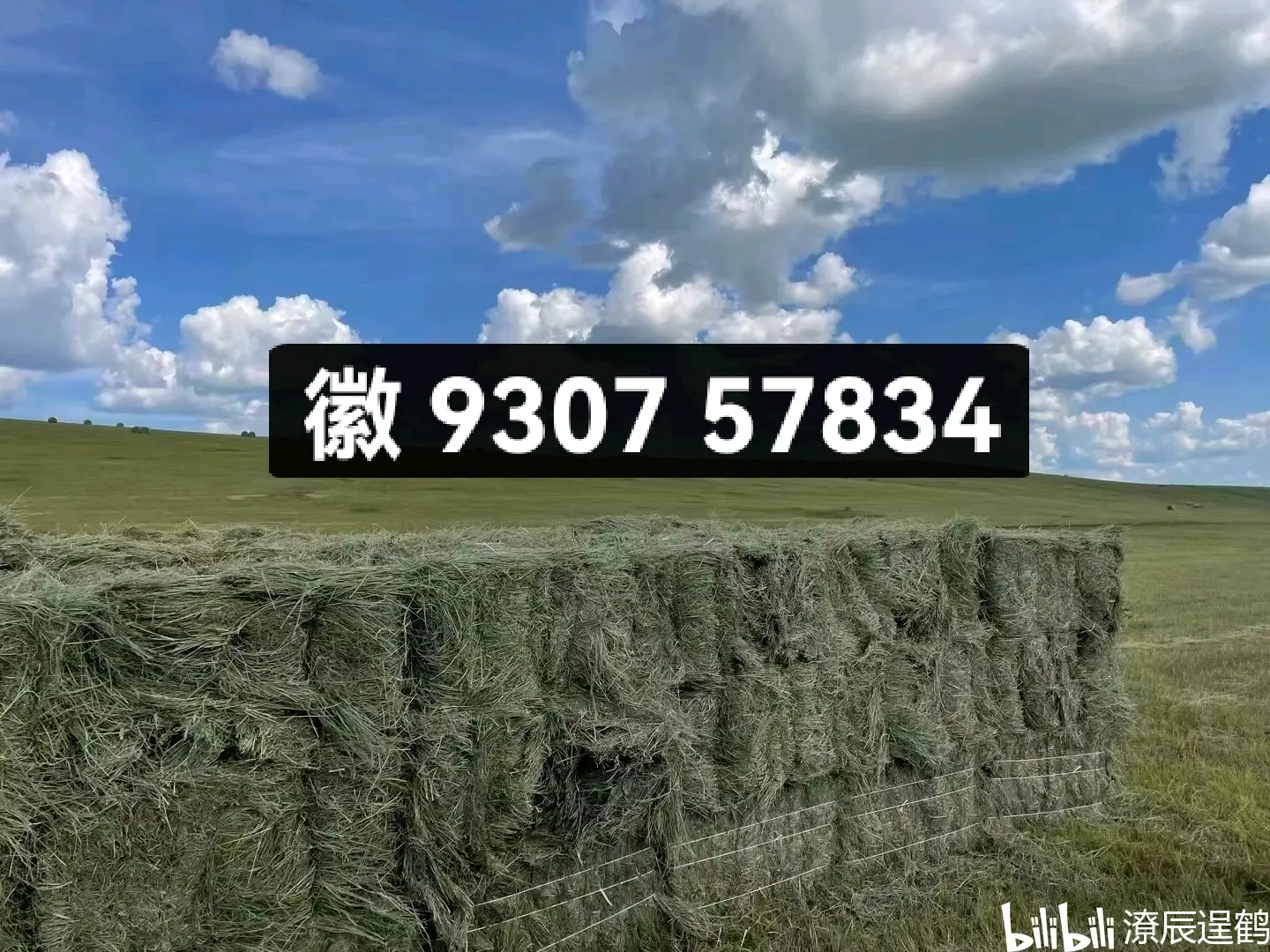 揭秘科普“微乐胜率辅助器	”(其实是有挂)-第1张图片