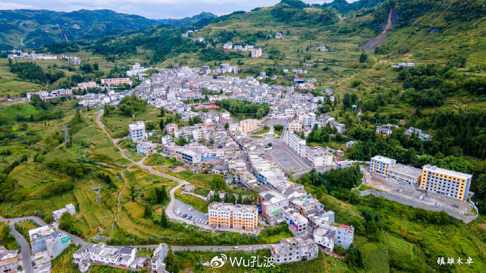 指定教程“镇雄关春天辅助器下载	”实际有挂-第1张图片