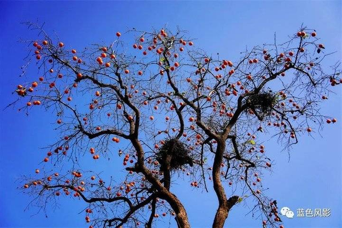 教程解析“陕西的头山东的挂顺口溜	”(确实真的有挂)-第2张图片
