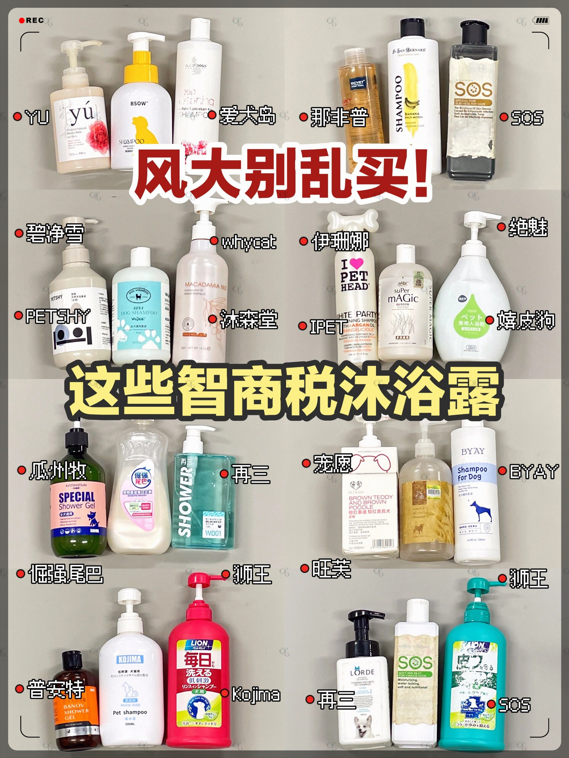 分享实测攻略“嘟嘟十三张怎么设置挂”的确有挂-第1张图片
