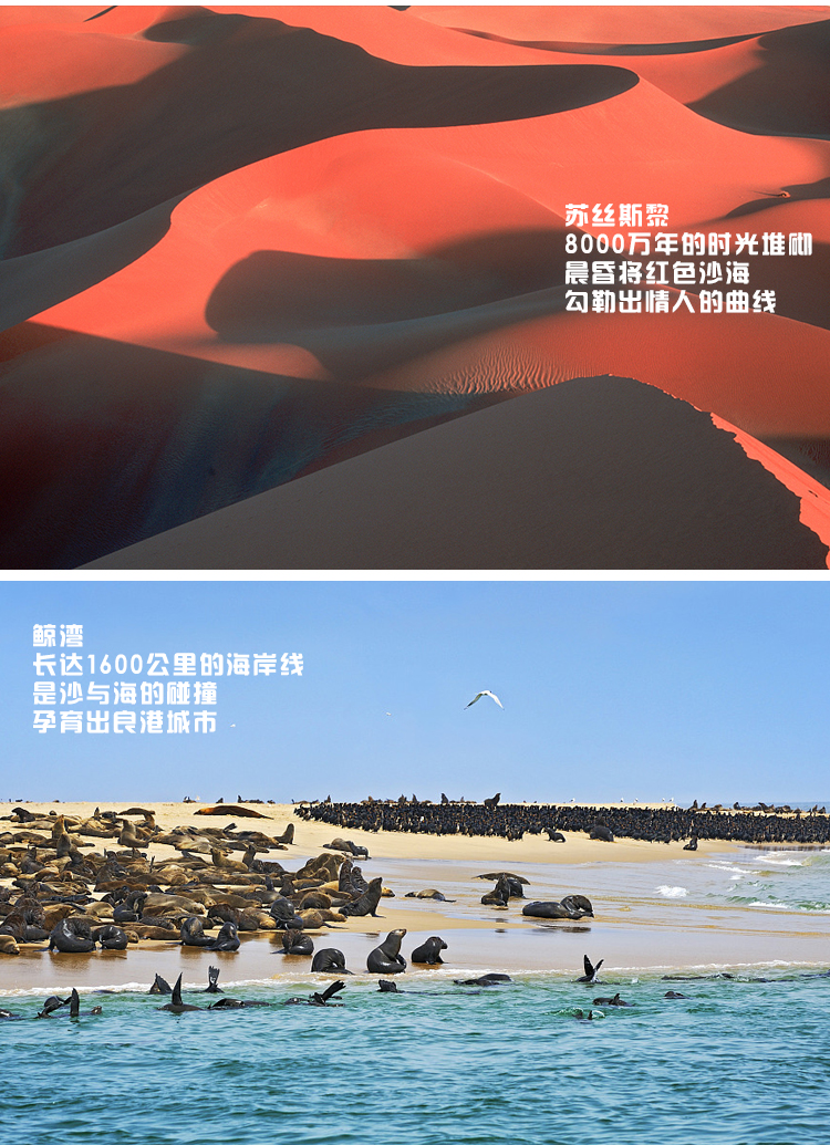科普一下“德扑圈到底能不能控制发牌”真实开挂技巧分享-第3张图片