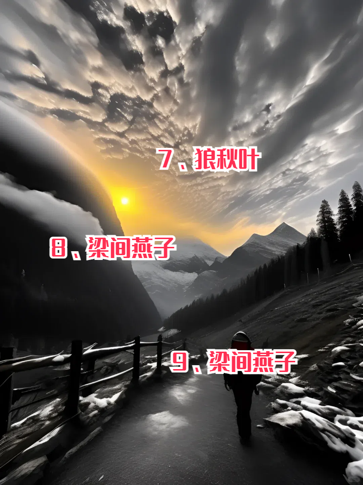 推荐一款“微信今日花牌都TM用挂	”分享用挂教程-第1张图片