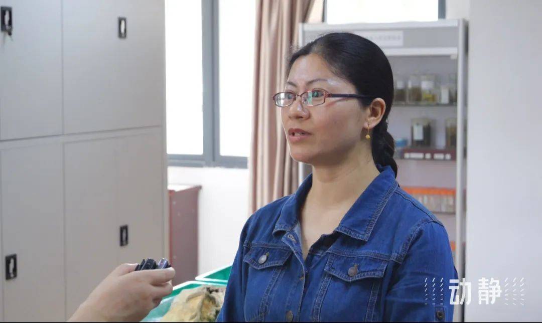 重大发现“家家乐牌吧透视挂”确实是有挂-第1张图片