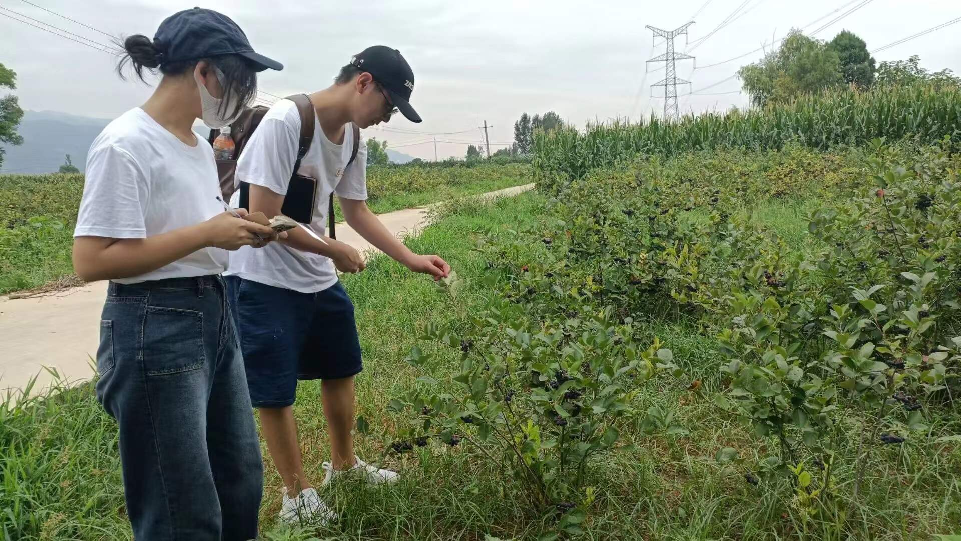 重大发现“微乐陕西三代怎么拿一手好牌”(其实真的能开挂)-第3张图片