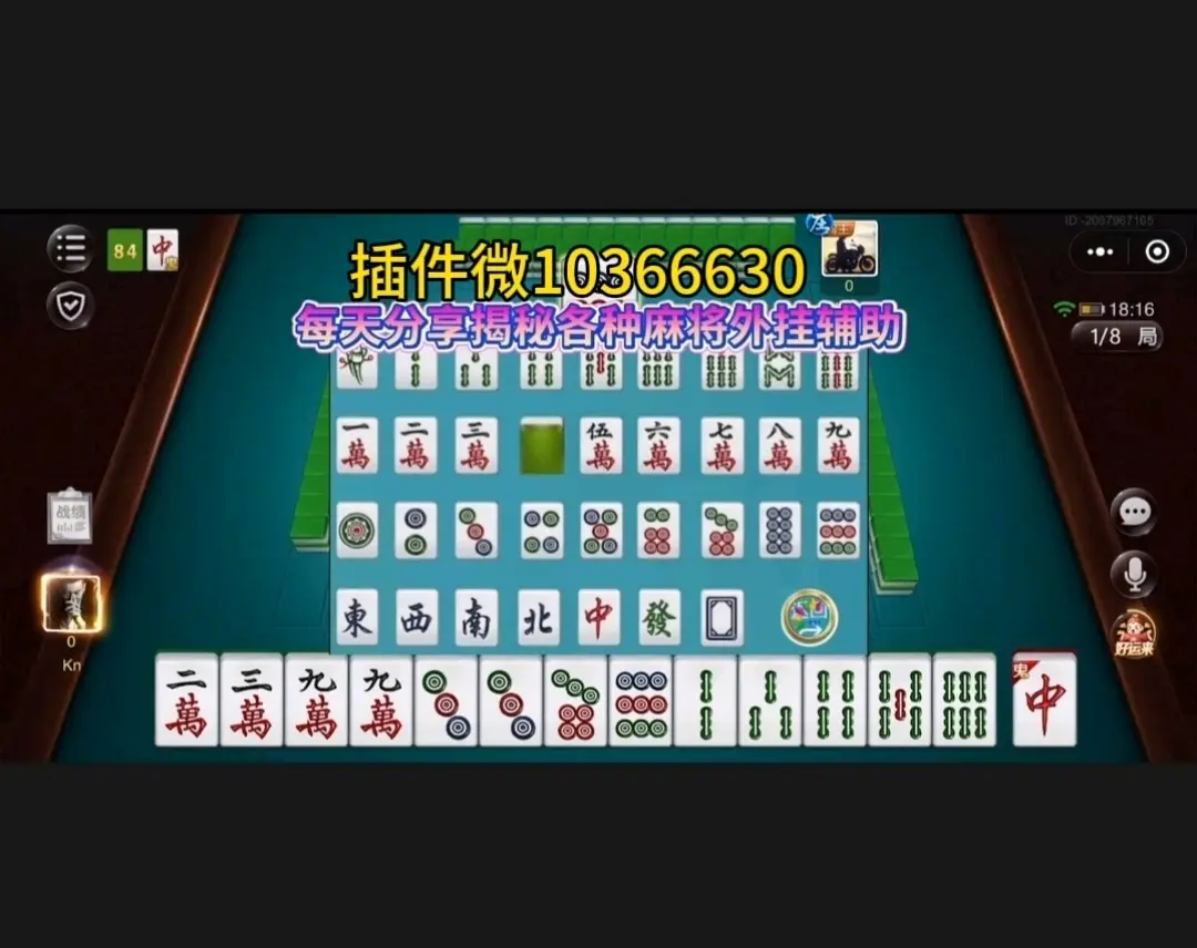今日教程“皮皮麻将开挂下载”教你开挂详细-第1张图片