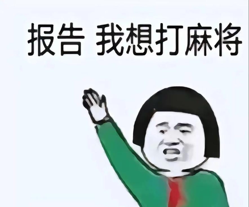 分享热点“玩手机麻将总输怎么回事	”分享装挂详细步骤-第1张图片