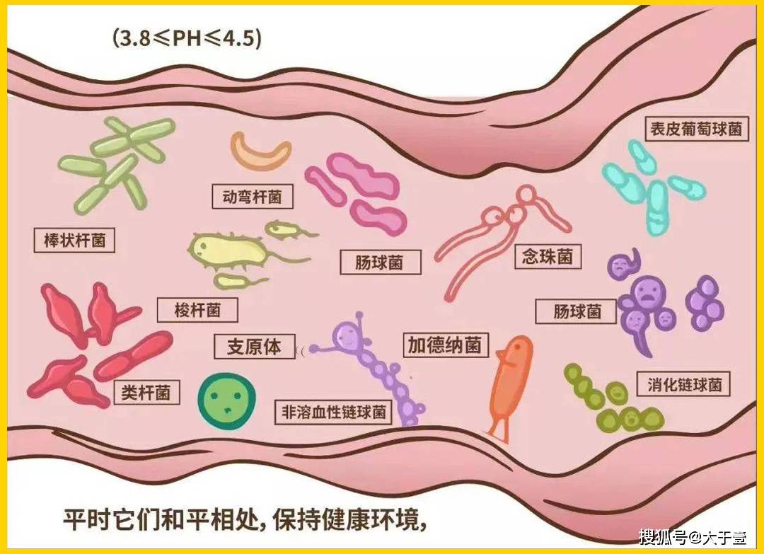 必看科普“微扑克挂怎么安装	”开挂神器安装下载-第1张图片