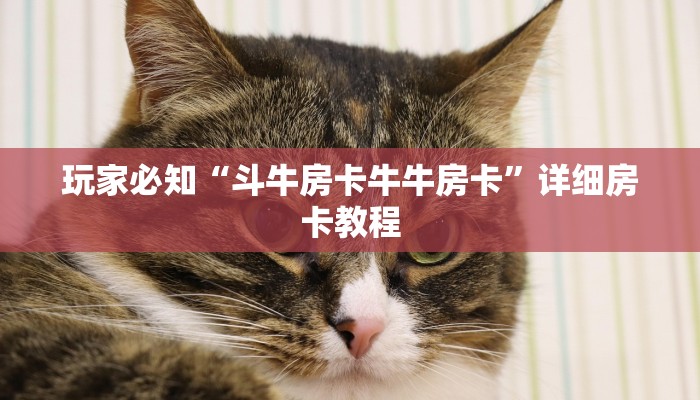 今日教程“小程序决胜麻将必赢神器下载安装”小程序必赢神器（开挂教程）-第1张图片