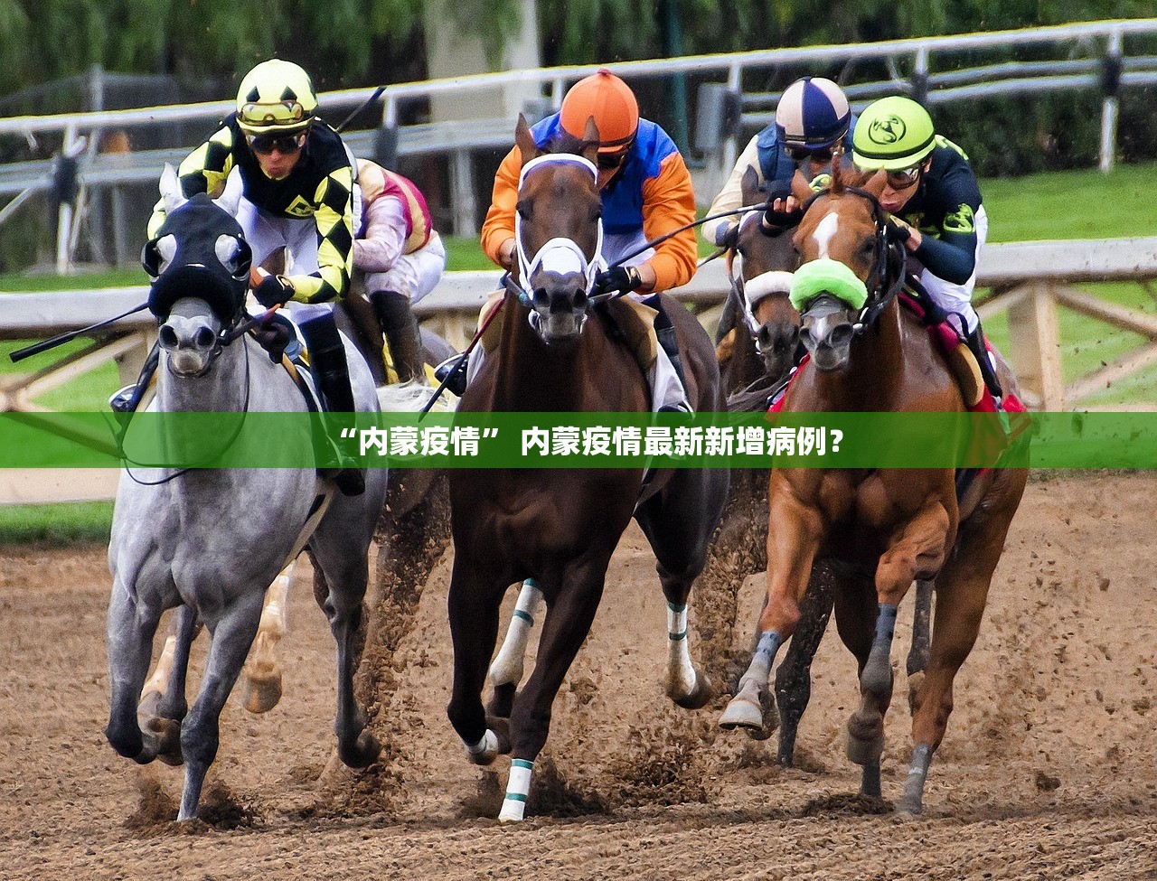 内蒙古新增本土确诊30例〃内蒙古新增本土确诊病例10例-第2张图片