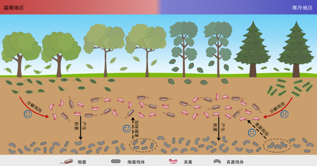 科普实测“微扑克免费开挂下载安装	”开挂器软件安装-第1张图片