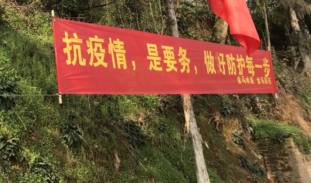 新化疫情,新化疫情通报-第1张图片