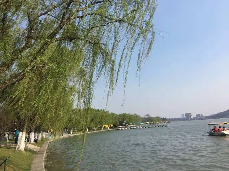 2022南京禄口疫情最新消息,2022南京禄口疫情最新消息今天-第1张图片