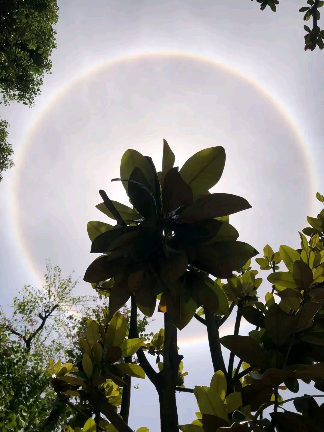 今日盘点“天天福建十三张怎么样才能一直赢	”开挂器软件安装-第1张图片