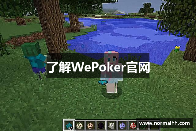 玩家攻略“wepoker系统规律”助赢开挂器（安装教程）-第1张图片