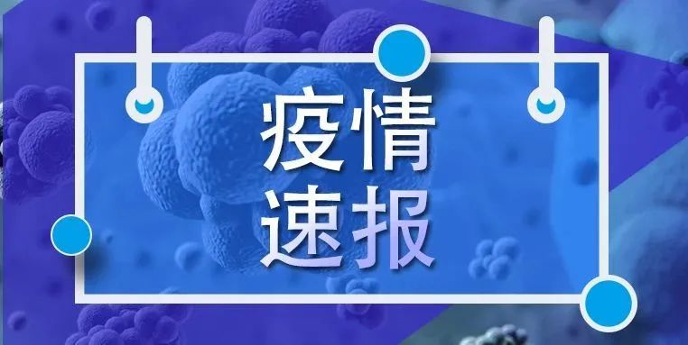 广西新增1例本土确诊病例︰(广西新增1例确诊行程)-第3张图片
